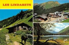 Lindarets chèvres lac d'occasion  France