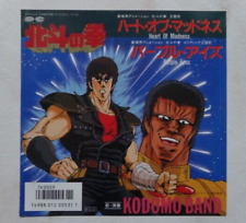 Hokuto ken guerriero usato  Roma