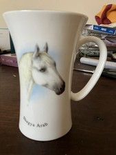 Shagya arab arabian for sale  CAMBRIDGE