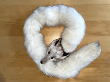 Fuchs stola fuchsschal gebraucht kaufen  Weiterstadt