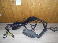 Motor kabelbaum pel gebraucht kaufen  Sulz am Neckar