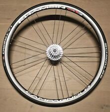Campagnolo khamsin rollentrain gebraucht kaufen  Bergisch Gladbach