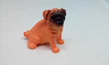 Pug dog brown for sale  Nixa