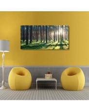 Sunshine forest wall for sale  Katy