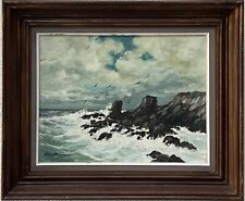 Guy pennamen vagues d'occasion  La Roche-sur-Yon