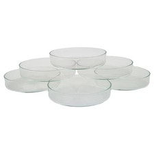 6er set petrischale gebraucht kaufen  Gelsenkirchen
