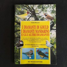 Gianni ravazzi diamanti usato  Vicenza