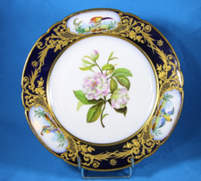 Sevres superbe assiette d'occasion  Cabannes