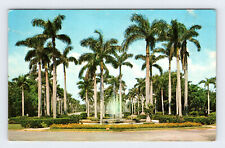 Cartão postal vintage Royal Palm Tree Florida BRY61 comprar usado  Enviando para Brazil