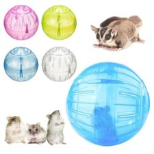 Clear ball hamster for sale  LEICESTER