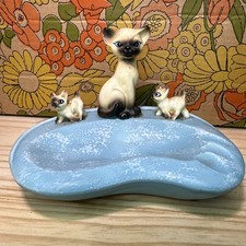Mcm siamese cat for sale  Taylorville