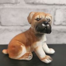 Dog boxer puppy for sale  CARDIFF