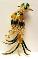 Exotic pheasant bird for sale  Fort Worth