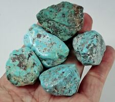 natural turquoise rough for sale  Walnut