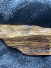 large arizona petrified wood for sale large arizona petrified wood for sale Albuquerque