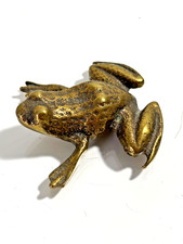 Superbe grenouille bronze. d'occasion  Craponne
