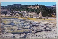 Cartão postal antigo vintage antigo parque nacional de Yellowstone mamute fontes termais opala terraço comprar usado  Enviando para Brazil