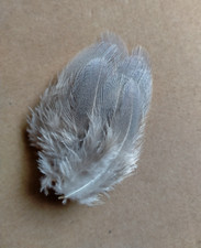 Fly tying native for sale  UK