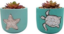 Fake succulent teal for sale  Ft Mitchell