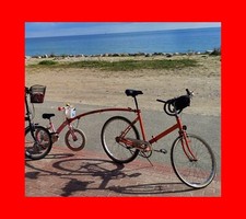 Trail gator tandemstange gebraucht kaufen  Berlin