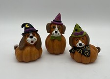 Lot cute adorable for sale  Sacramento
