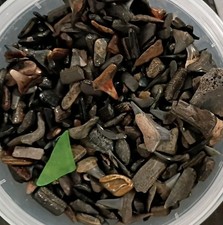 100 fossil shark for sale  Sarasota