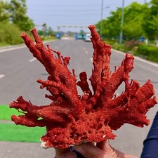 273g arancio naturale usato  Spedire a Italy