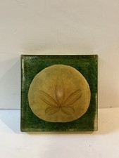 Vintage sand dollar for sale  Elk City