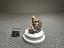 Sericho pallasite meteorite for sale  Largo