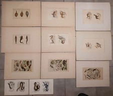 Lot gravures originales d'occasion  Charenton-le-Pont