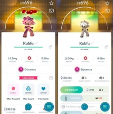 Kubfu Dynamax | troca registrada | Pokemon Trade Go✨ comprar usado  Enviando para Brazil