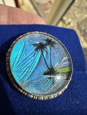 Vintage butterfly wing for sale  UK