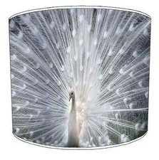 Peacock feathers lampshades for sale  BOLTON