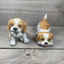 Brittany spaniel puppies for sale  Vandergrift