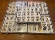 Insektensammlung sammlung inse gebraucht kaufen  Berlin