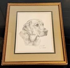 Labrador print framed for sale  YEOVIL