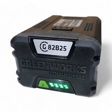 Akku greenworks commercial gebraucht kaufen  Eichendorf