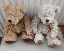 Cute quality teddy for sale Cute quality teddy for sale  LINCOLN