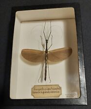 Natural history entomology d'occasion  Expédié en Belgium