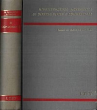 Condominio. massimo dogliotti usato  Italia