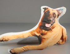 Vibe bed pillow for sale  Russellville