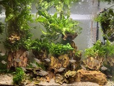 Aquarium zubehör liter gebraucht kaufen  Herne