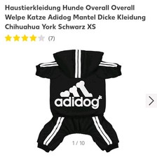Hunde verall gebraucht kaufen  Herford