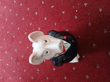 Nat west pig for sale  SALE