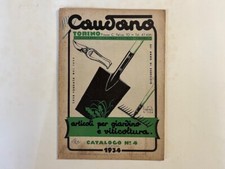 Caudano torino. per usato  Italia