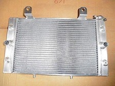 Wasserkühler kühler racing gebraucht kaufen  Knetzgau