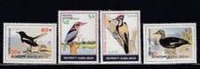 Bangladesh magpie kingfisher for sale  Astoria