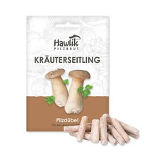 Kräuterseitling dübel pilze gebraucht kaufen  Langweid a.Lech