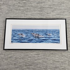 Framed dolphin photography for sale  Wind Gap