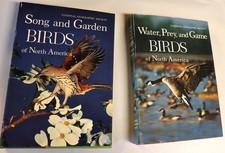 Song garden birds for sale  Claudville